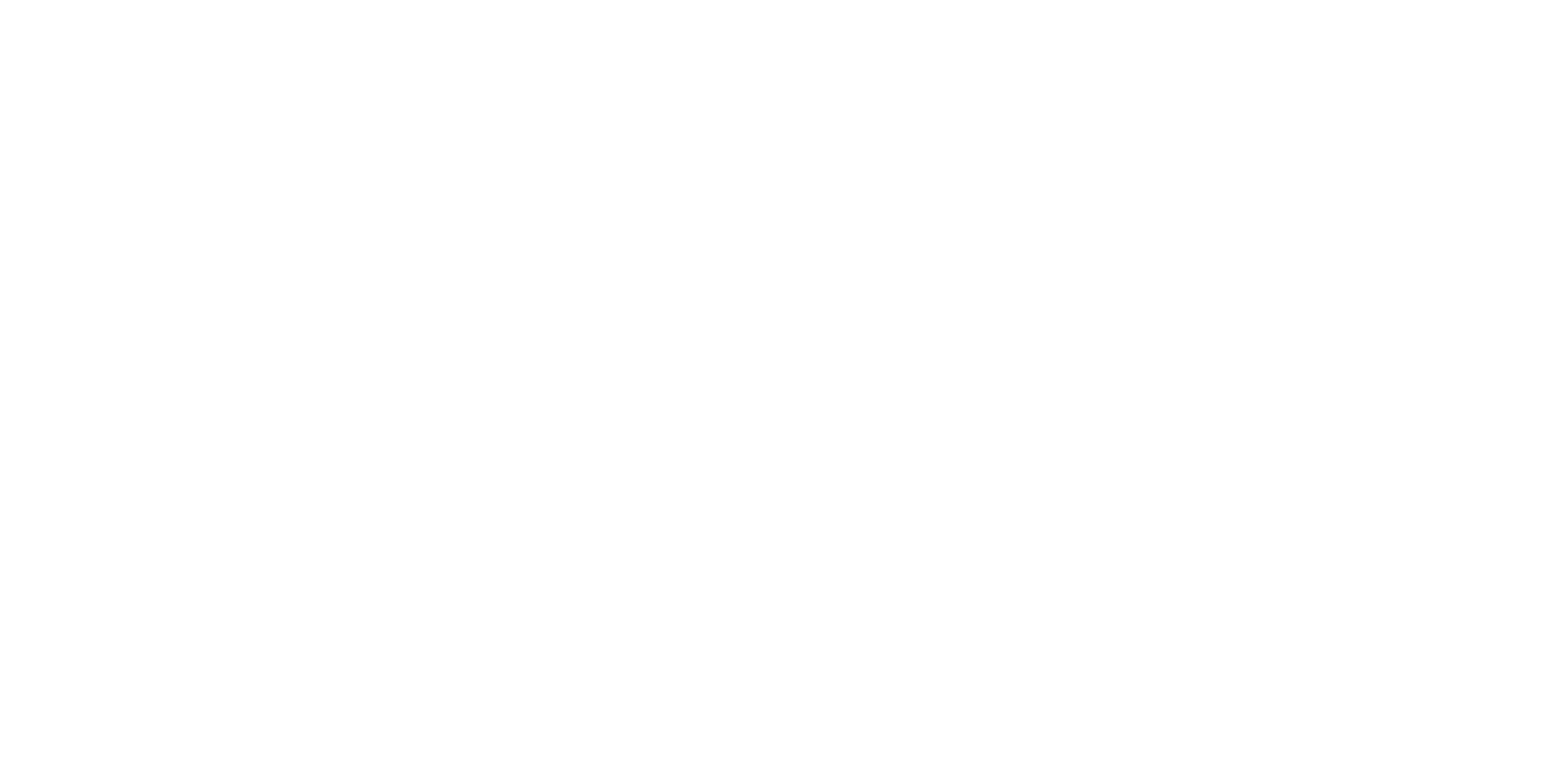 BIZOU